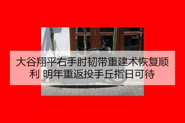 da-gu-xiang-ping-you-shou-zhou-ren-dai-chong-jian-shu-hui-fu-shun-li-ming-nian-chong-fan-tou-shou-qiu-zhi-ri-ke-dai-3-428.jpg
