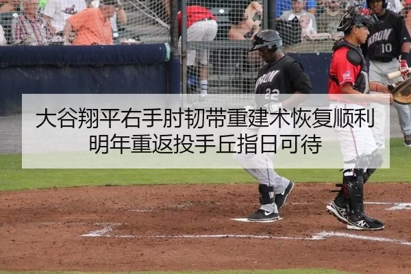 大谷翔平右手肘韧带重建术恢复顺利 明年重返投手丘指日可待